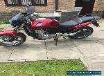 Honda CBF500 for Sale