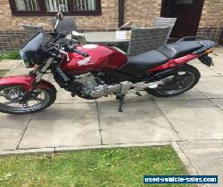 Honda CBF500 for Sale