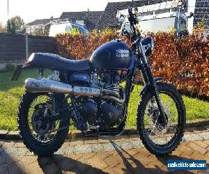 Triumph Bonneville Scrambler 2015 - Blue, 900cc, FSH, Low miles *IMMACULATE* for Sale