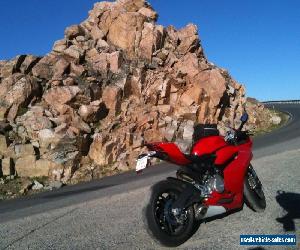 2014 Ducati Superbike