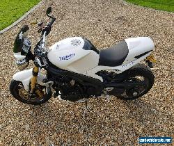 2005 Triumph Speed Triple 1050 for Sale