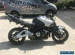 SUZUKI BKING GSX1300R HAYABUSA 10/2007 MODEL B-KING PROJECT MAKE AN OFFER for Sale