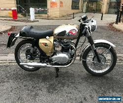 1965 BSA 650 A65 Lightning Clubman Spec 650cc Classic Motorcycle Gold stunning for Sale