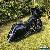 2012 Harley-Davidson Touring for Sale