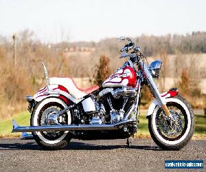 2013 Harley-Davidson Softail