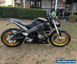 Buell Xb12 2004 for Sale