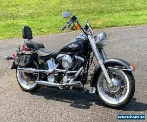 1995 Harley-Davidson Softail