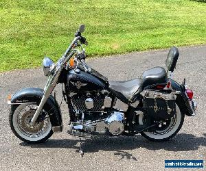 1995 Harley-Davidson Softail