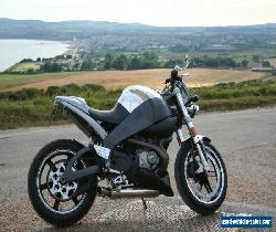 Buell XB12S Lightning for Sale