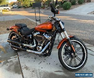 2019 Harley-Davidson Softail