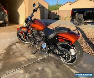 2019 Harley-Davidson Softail