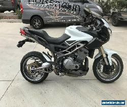 BENELLI TNT 1130 TREK 05/2014 MODEL 23401KMS PROJECT MAKE AN OFFER for Sale