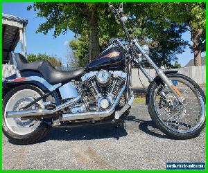 2010 Harley-Davidson Softail