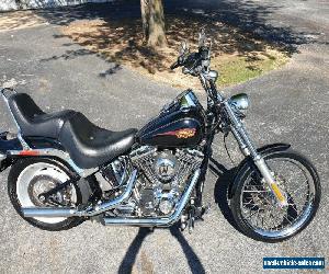 2010 Harley-Davidson Softail