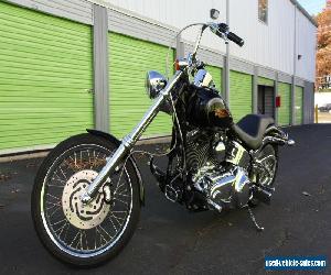 2010 Harley-Davidson Softail