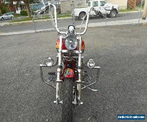 1984 Harley-Davidson Softail