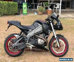 Buell XB12R 2007 for Sale