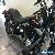 2010 Harley-Davidson FLSTSB CROSSBONES for Sale