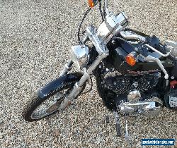 Harley Davidson Sportster 1200 Custom  for Sale