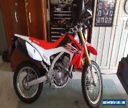 CRF250L for Sale