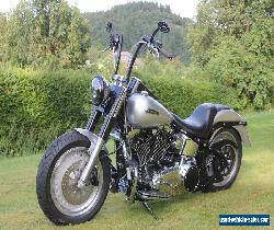 Harley Davidson Fat Boy 1690 top Custom opportunity  for Sale