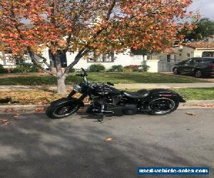 2010 Harley-Davidson Softail