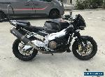 APRILIA RSV TUONO RSV1000 V4 11/2008 MODEL 41724KMS PROJECT MAKE AN OFFER for Sale