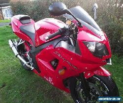 2005 TRIUMPH DAYTONA STUNNING BIKE ONLY 17K MILES PART EX & DELIVERY POSSIBLE  for Sale