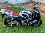 2006 Honda CBR 600rr ***Very Low Mileage*** for Sale