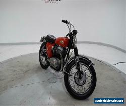 1967 BSA Hornet Scrambler for Sale