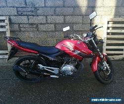 Honley HD-1 125 cc learner legal motorcycle - 14k on clocks - Yamaha YBR copy for Sale