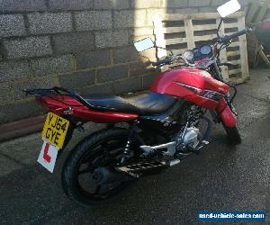 Honley HD-1 125 cc learner legal motorcycle - 14k on clocks - Yamaha YBR copy