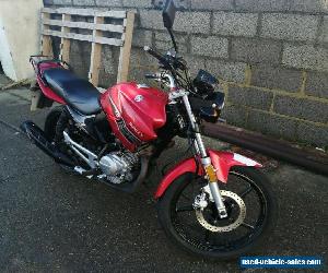 Honley HD-1 125 cc learner legal motorcycle - 14k on clocks - Yamaha YBR copy