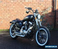 Harley Davidson Sportster 1200 Custom for Sale