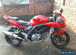 Suzuki SV650-S 2005 55 plate Red Alphadot, Meta Alarm, Delkevic Pipe No Reserve for Sale