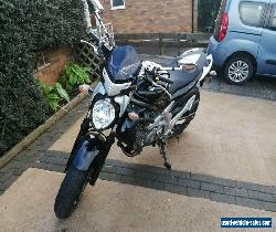 Suzuki gladius 650 SFV 2009 for Sale