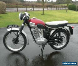 TRIUMPH CUB SPORT for Sale