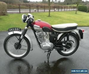 TRIUMPH CUB SPORT