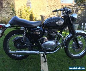 BSA a65 lightning 