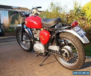 BSA C15 SS80 