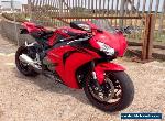 2008 HONDA CBR 1000 RR-8 Red and Black for Sale