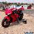 2008 HONDA CBR 1000 RR-8 Red and Black for Sale