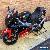 Aprillia RS125 **Harada Edition**2 Stroke**low Miles** for Sale