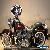 2011 Harley-Davidson Softail Softail Cruiser for Sale