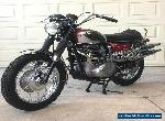 1970 BSA A65 Firebird Scrambler 650 for Sale