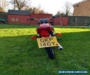 Suzuki GP100 - No Reserve.