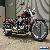 Harley Davidson Fatboy ProCharged for Sale