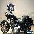 2011 Harley-Davidson Softail Softail Cruiser for Sale