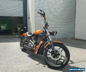 Harley Davidson Vrod VRSCB