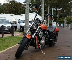 Harley Davidson Vrod VRSCB